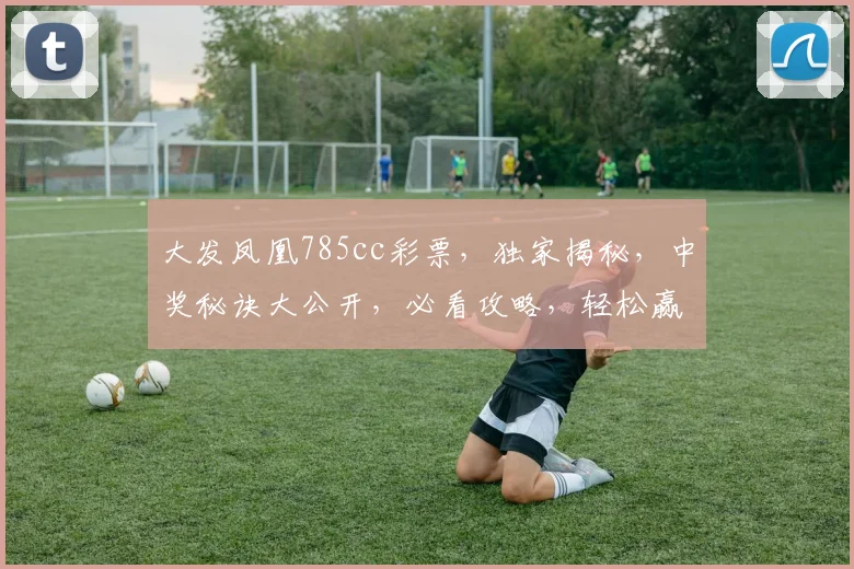 大发凤凰785cc彩票，独家揭秘，中奖秘诀大公开，必看攻略，轻松赢大奖