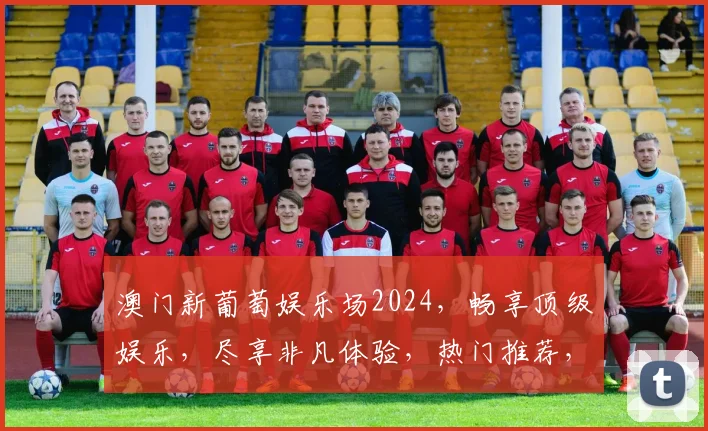 澳门新葡萄娱乐场2024，畅享顶级娱乐，尽享非凡体验，热门推荐，不容错过