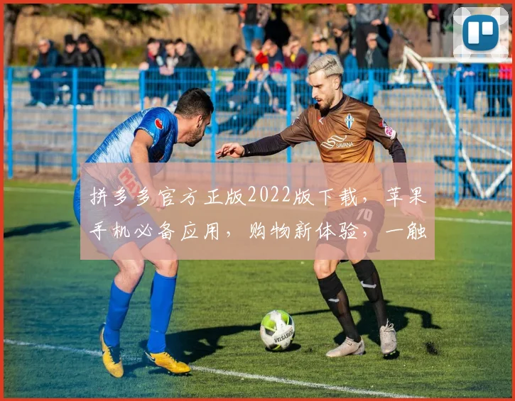 拼多多官方正版2022版下载，苹果手机必备应用，购物新体验，一触即达，速来下载，畅享优惠