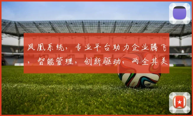 凤凰系统，专业平台助力企业腾飞，智能管理，创新驱动，两全其美，体验非凡