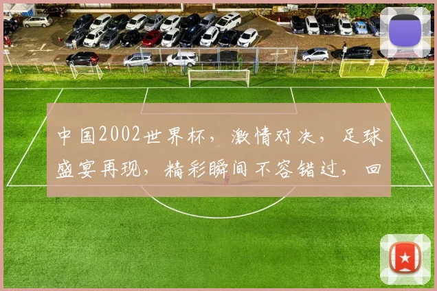 中国2002世界杯，激情对决，足球盛宴再现，精彩瞬间不容错过，回味无穷