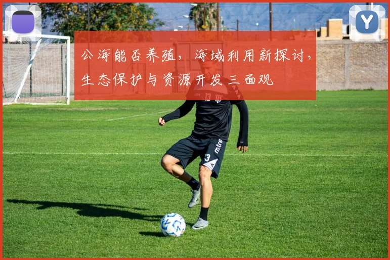 公海能否养殖，海域利用新探讨，生态保护与资源开发三面观